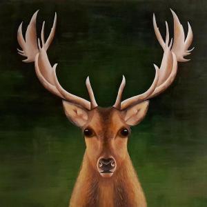 LO  SGUARDO DEL CERVO acrilico su tela  80x100
