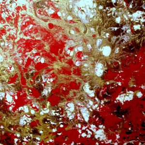 ORIENTE tecnica smalto su tela 30x30