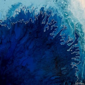 BLUE CORAL tecnica mista su tela 30x30