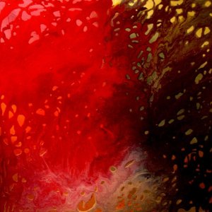 CORAL REEF smalto su tela 50x50