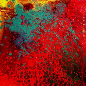 CORAL smalto su tela 50x50