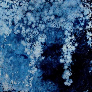 GRAPPOLI DI CIELO tecnica smalto su tela 50x50