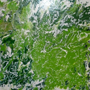 GREEN FLOWER smalto su tela 60x60
