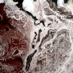 PLANET smalto su tela 40x50