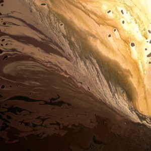 LIKE LEAVES IN WINTER tecnica mista su tela 100x70