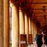 16 .17. 18 Maggio 2014 ARTE SOTTO I PORTICI Bologna 021