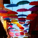 MOSTRA TREVIGLIO 005