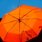 MOSTRA TREVIGLIO 007