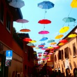 MOSTRA TREVIGLIO 008