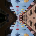 MOSTRA TREVIGLIO 010