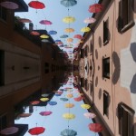 MOSTRA TREVIGLIO 011