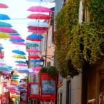 MOSTRA TREVIGLIO 028