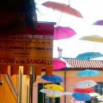 MOSTRA TREVIGLIO 042