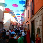 MOSTRA TREVIGLIO 054