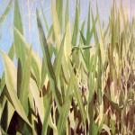 Mostra d'Arte LUCE  31 Gennaio 2015 Soave, Codogno 019