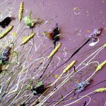 LA FARFALLA-particolare