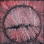 14724583_1207439682632720_6741790008043820896_n