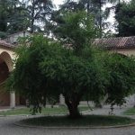 turismo-piacenza-galleria-ricci-oddi-g03-1200x518